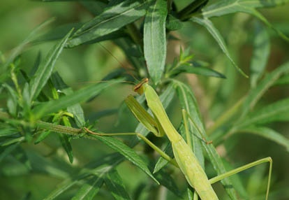 201007301432-DSC09388.jpg