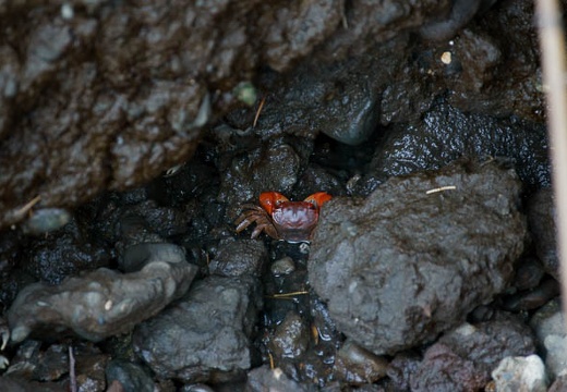 201007301452-DSC09424.jpg