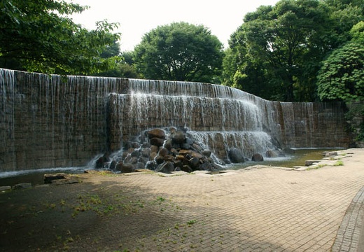 201008011431-DSC09508.jpg