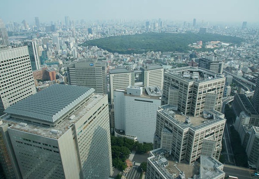 201008011458-DSC09547.jpg