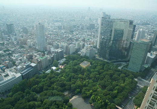 201008011502-DSC09556.jpg