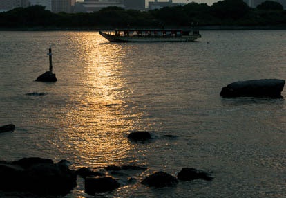 201008021806-DSC09951.jpg
