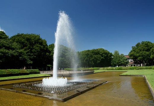 201008051326-DSC00700.jpg