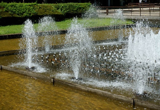 201008051329-DSC00717.jpg