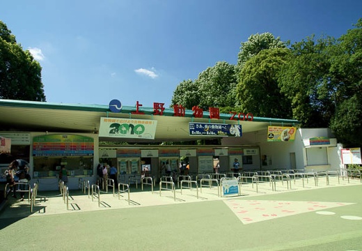 201008051341-DSC00734.jpg
