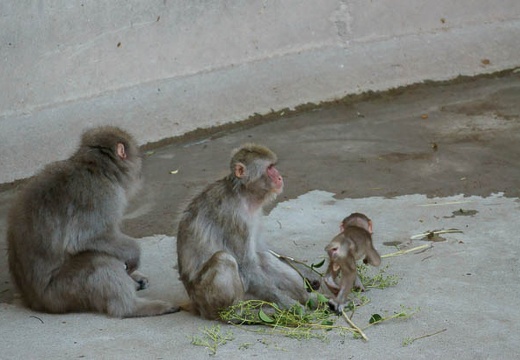 201008051403-DSC00780.jpg