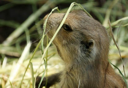 201008051408-DSC00792.jpg