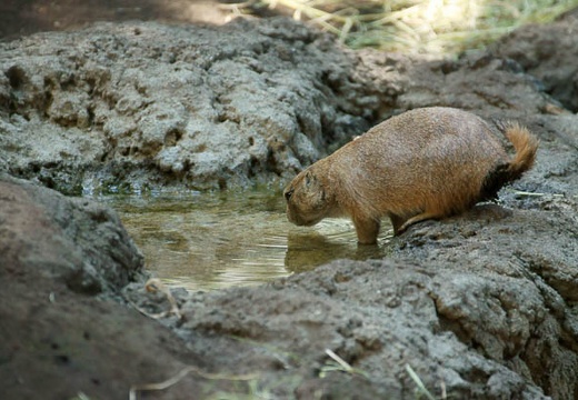 201008051410-DSC00801.jpg