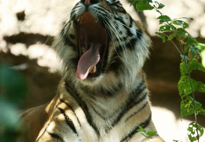 201008051422-DSC00828.jpg
