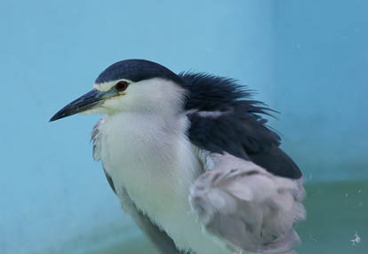 201008051606-DSC01005.jpg