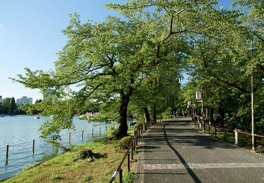 201008051659-DSC01054.jpg