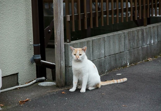 201008051846-DSC01137.jpg