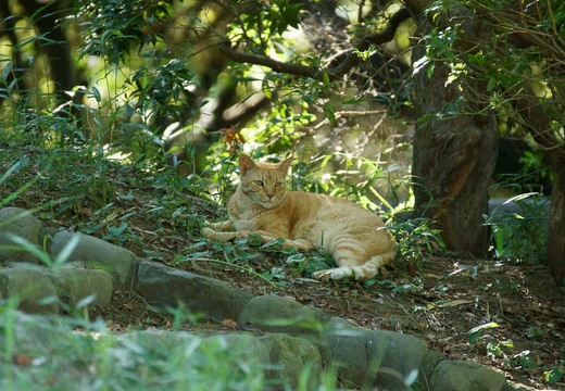 201008061558-DSC01465.jpg