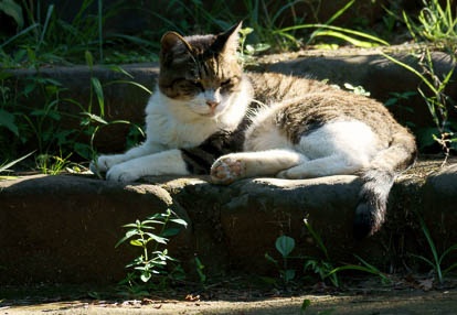 201008061559-DSC01469.jpg