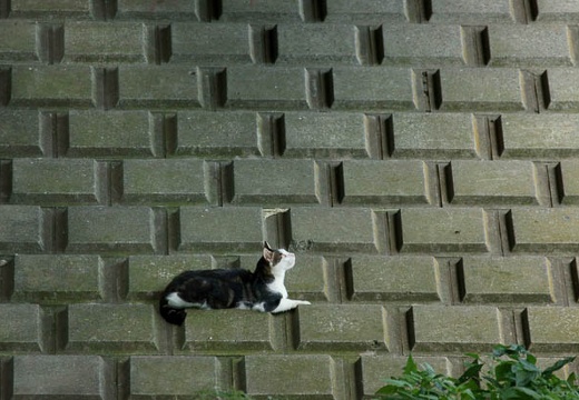 201008071353-DSC00148.jpg