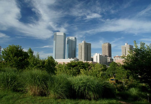 201008071653-DSC00348.jpg