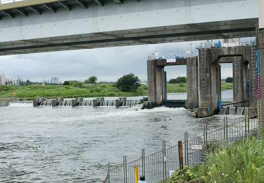 201008091346-DSC00073.jpg