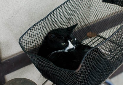 201008091612-DSC00171.jpg