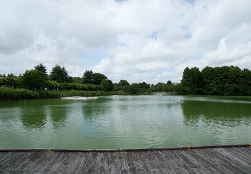 201008101339-DSC00305.jpg