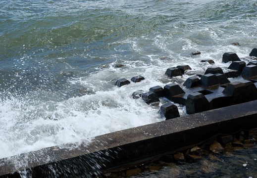 201008111410-DSC00066.jpg