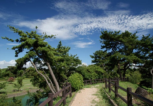 201008111438-DSC00120.jpg