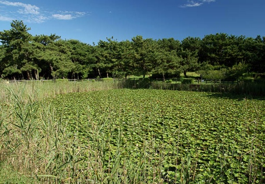 201008111518-DSC00202.jpg