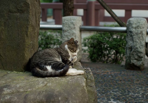 201008111820-DSC00341.jpg