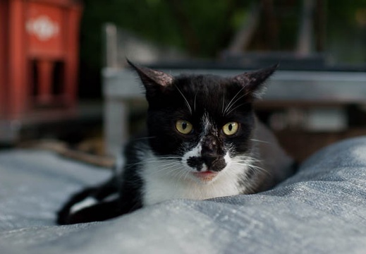 201008111829-DSC00362.jpg