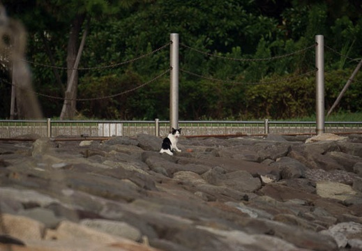 201008150744-DSC00526.jpg