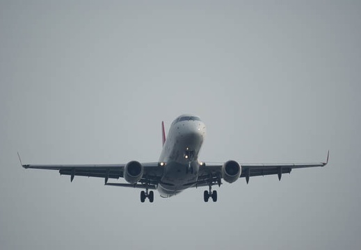 201008150745-DSC00533.jpg