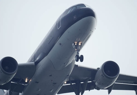 201008150806-DSC00564.jpg