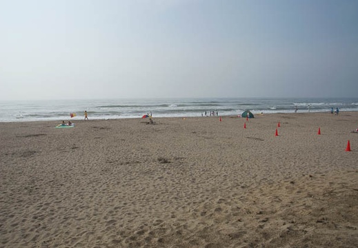 201008160758-DSC00878.jpg