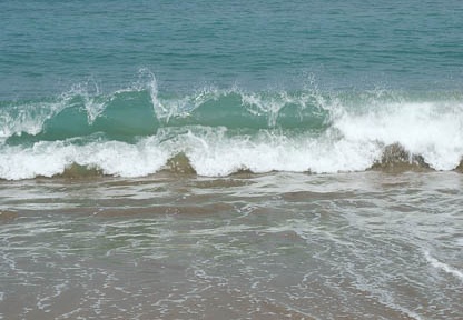 201008161212-DSC01091.jpg
