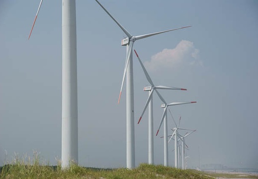 201008161249-DSC01134.jpg