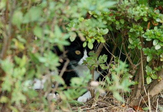 201008181631-DSC07817.jpg
