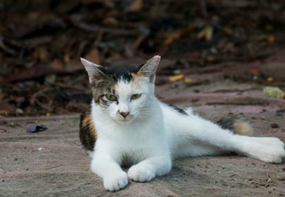201008181640-DSC07844.jpg