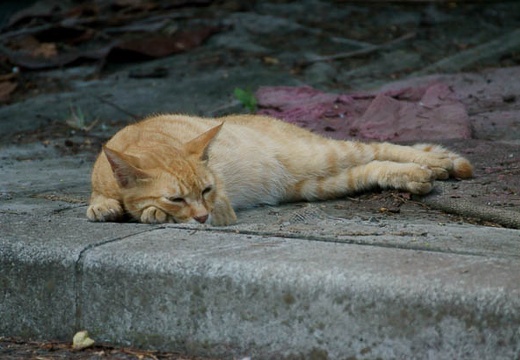 201008181641-DSC07849.jpg