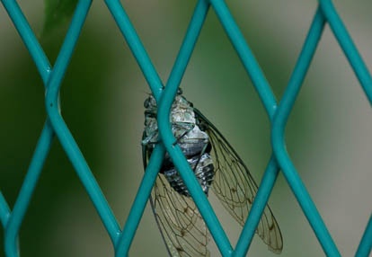 201008181644-DSC07857.jpg