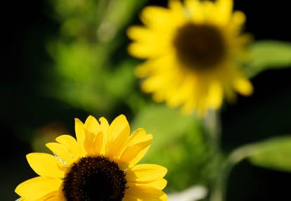 201008221519-DSC07945.jpg