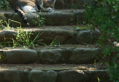 08.22 三ツ池公園