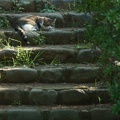 201008221554-DSC07986.jpg
