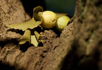 201008221602-DSC07999.jpg