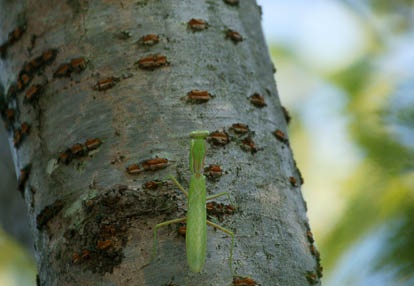 201008221605-DSC08003.jpg