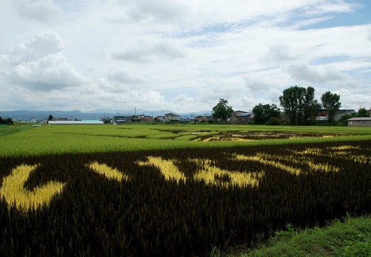 201008251005-DSC08112.jpg