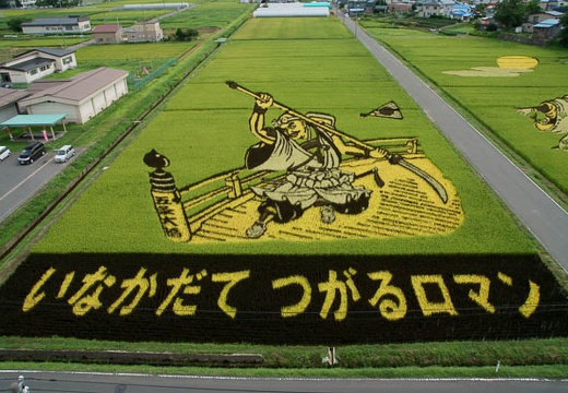 201008251010-DSC08119.jpg