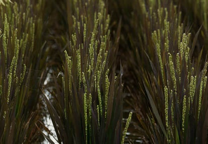 201008251132-DSC08223.jpg