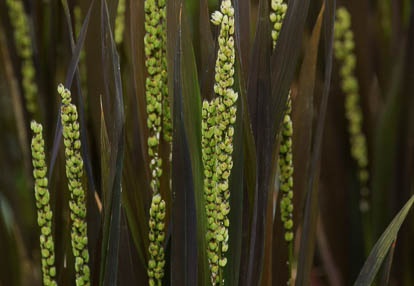 201008251133-DSC08226.jpg