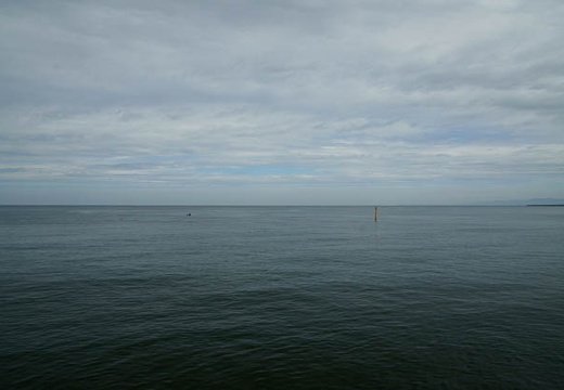 201008260908-DSC08627.jpg