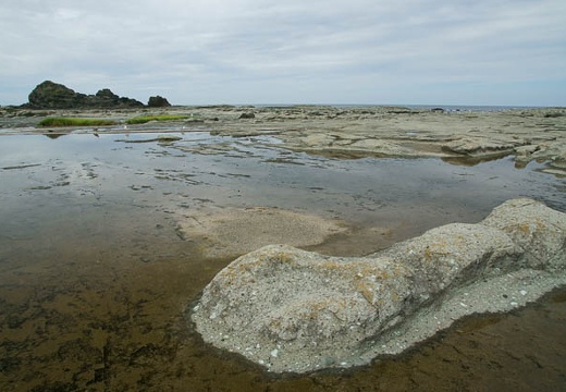 201008260953-DSC08686.jpg