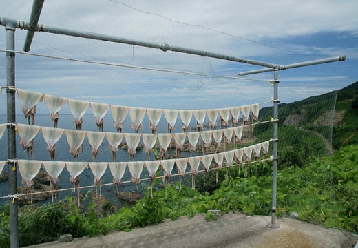 201008261109-DSC08724.jpg